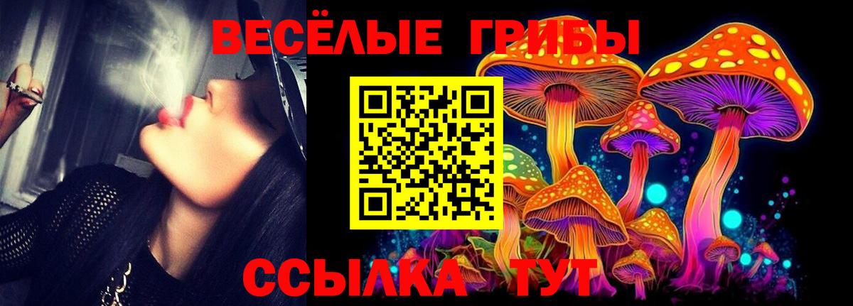Псилоцибиновые грибы Cubensis Горячий Ключ