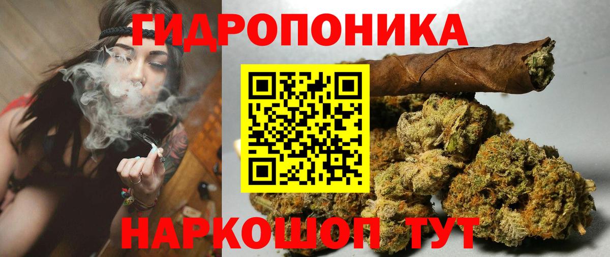 Бошки марихуана VHQ  Канабис планчик  Конопля гибрид  Горячий Ключ  Вход с VPN 